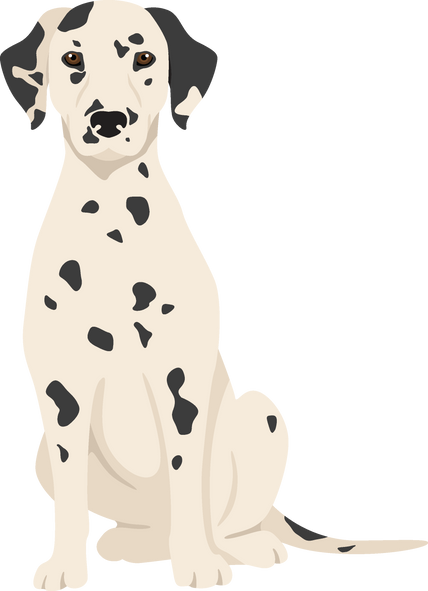 Dalmatian Dogs Clipart. Different Poses, Coat Colors Set